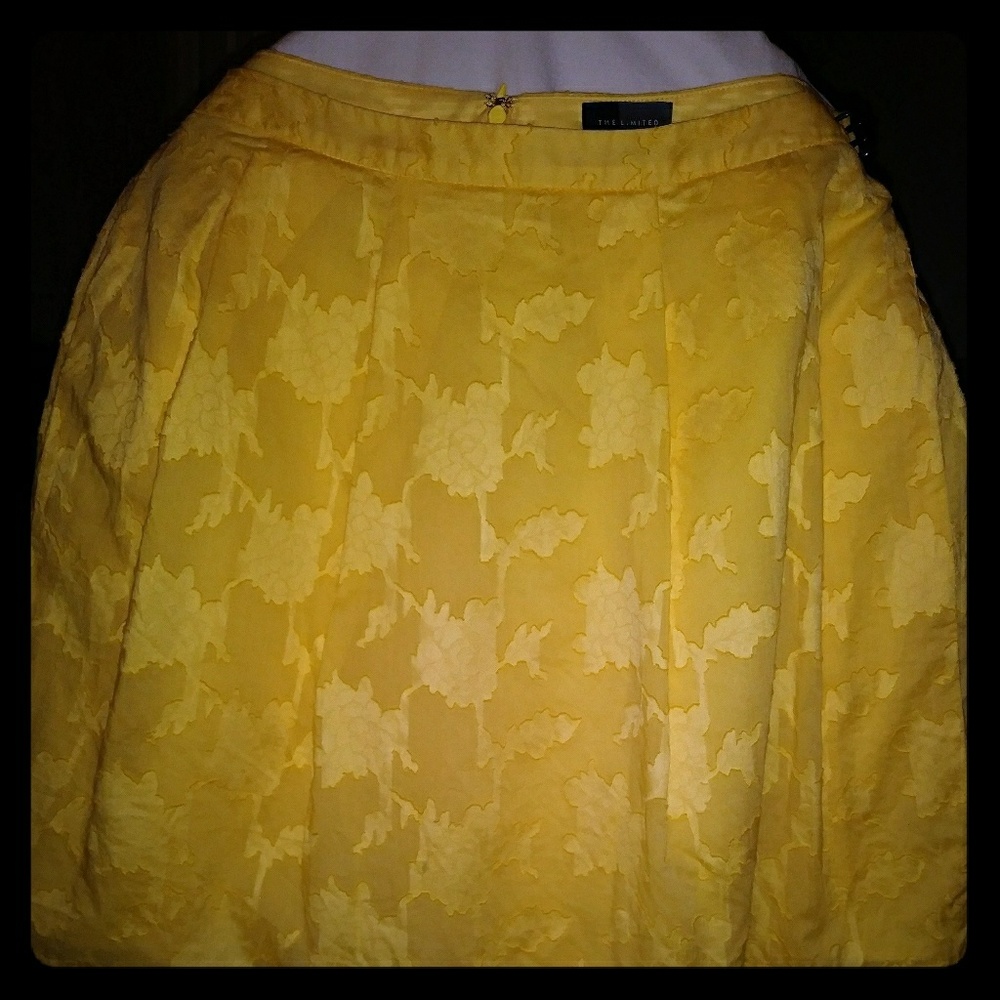 Gorgeous Limited Skirt
